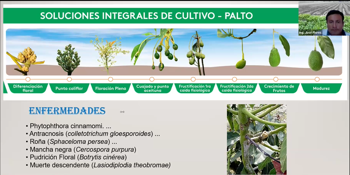 MEDIDAS DE CONTROL DE PLAGAS Y ENFERMEDADES